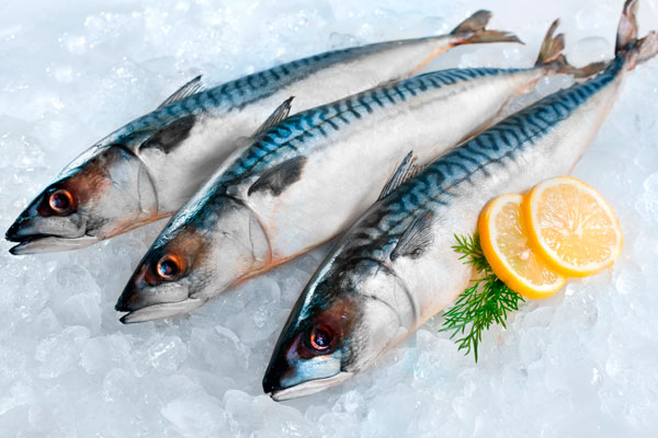 Минимальные розничные цены на рыбу зафиксированы в магазине "Русский Невод"