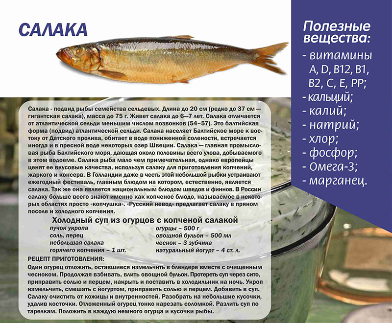 Рыба сарган: рецепты, полезные свойства, фото