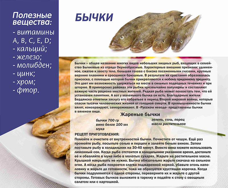 Рыба сарган: рецепты, полезные свойства, фото